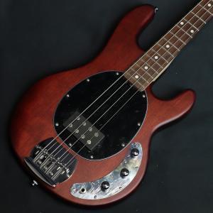 Sterling by MUSIC MAN / SUB Series Ray4 Walnut Satin (S/N:B190198)(店頭未展示品)(横浜店)｜ishibashi-shops