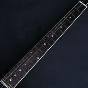 《特典付き》Epiphone / Inspir...の詳細画像2