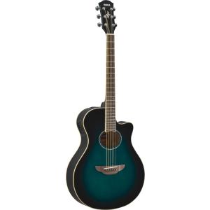 Morris Morris MD-507N Acoustic Guitar アコースティックギター