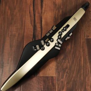 Roland/AE-20SC/Aerophone (梅田店)の商品画像