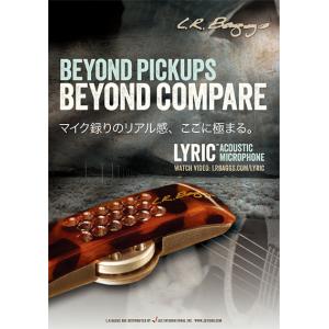 値下げしました。AcoFlavor アコースティックシグナルこんディショナー 楽天市場】NeotenicSound アコースティックピックアップシグナル