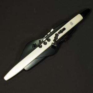 (中古)Roland ローランド / AE-20 Aerophone (福岡パルコ店)｜ishibashi-shops