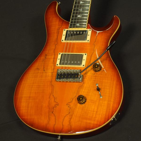 (中古)Paul Reed Smith (PRS) / SE Custom 24 Spalted M...