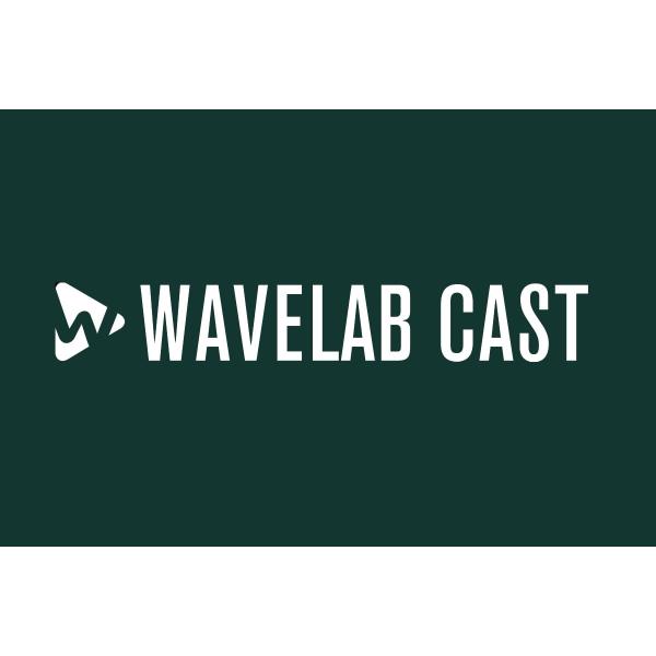 Steinberg スタインバーグ / WaveLab Cast 2(ダウンロード版メール納品 代引...