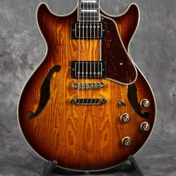 Ibanez / Artcore Expressionist Series AM93QA-VVH (...