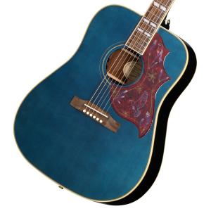 Epiphone（エピフォン） Epiphone Hummingbird Studio FC(アクセサリー