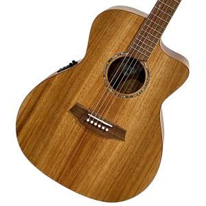 Ovation（オベーション） OVATION CS24P ABLKW 2023 Limited