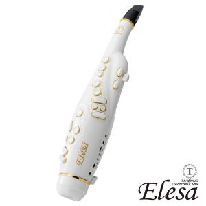 TAHORNG タホーン ELESA-W1BK(ブラック) 電子サックス Elesa-W1 : NEXT