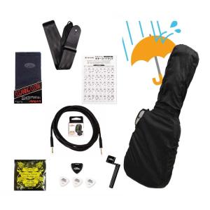 Aria / Ishibashi Gakki Original Electric Guitar Accessary Set (エレキギター用アクセサリー10点セット)