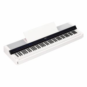 KORG（コルグ） KORG SP-100 Keyboard 電子ピアノ -GrunSound-w924