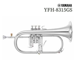 フリューゲルホルン Stomvi（ストンビ）Spain Masterシリーズ DA98 S