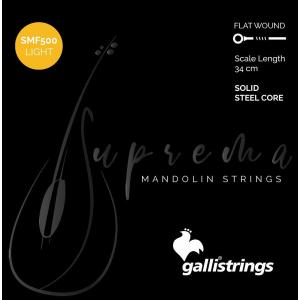 Gallistrings / SMF500 Light Chrome Steel マンドリン弦 .010-.031(イタリア製)｜ishibashi
