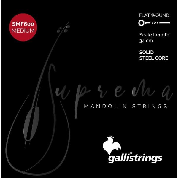 Gallistrings / SMF600 Medium マンドリン弦 .010-.033(イタリア...