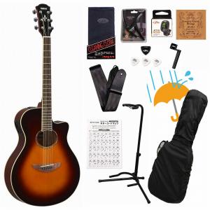 Selva / SF1000S Natural [トップ単板アコースティックギター