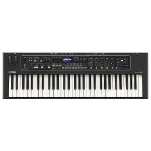 YAMAHA ヤマハ / CK61 (フットス...の詳細画像1
