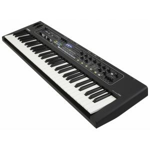 YAMAHA ヤマハ / CK61 (フットス...の詳細画像4