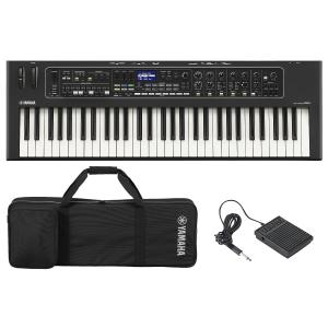 CASIO SC-550B ソフトケース キーボード用 Amazon | CASIO 純正ソフトケース 電子キーボード用 SC-550B