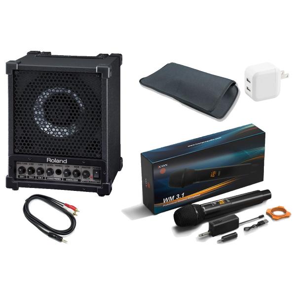 Roland ローランド / CM-30 (ワイヤレスマイク(マイク1本モデル) セット！)