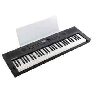 ローランド（Roland） 【最短翌日お届け】Roland GO:PIANO/GO:KEYS専用