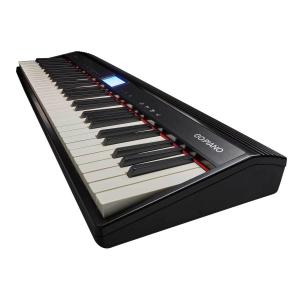 Roland ローランド / GO-61P G...の詳細画像4