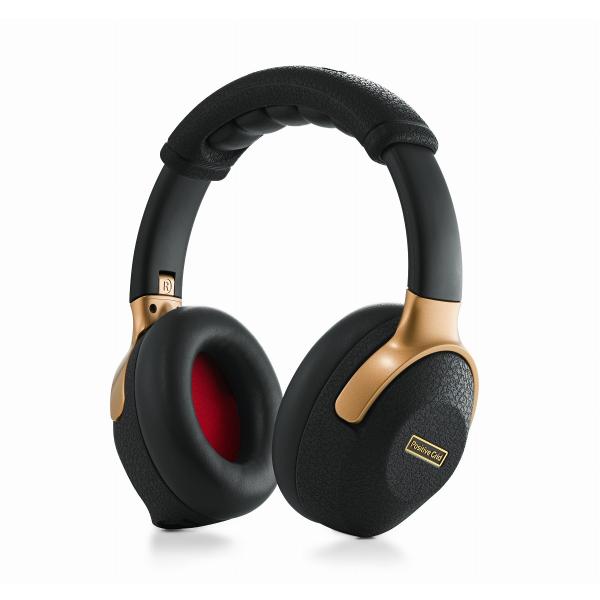 (ステップアップ・プロモーション特別価格) Positive Grid / Spark NEO ポジ...