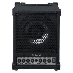 Roland / CM-30 Cube Mon...の詳細画像1