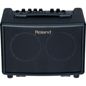 ローランド　Roland AC-90A エレアコ用　ギターアンプ Roland/ギターアンプ/AC-90A -DJ機材アナログレコード専門店