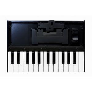 Roland / K-25m Boutiqueシリーズ専用キーボード ブティーク ブティック｜ishibashi