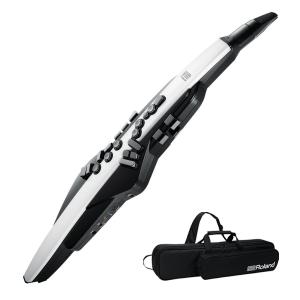 Roland / AEROPHONE AE-20 エアロフォン デジタル管楽器 ウインドシンセ｜ishibashi