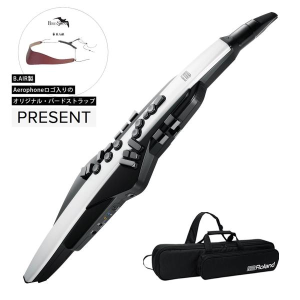 Roland / AEROPHONE AE-20 エアロフォン デジタル管楽器 ウインドシンセ