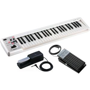 ローランド（Roland） Roland / A-49 BK (ダンパーペダル DP-10 +