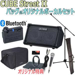 ローランド（Roland） Roland CUBE STREET EX/CUBE-STEX [キャリング