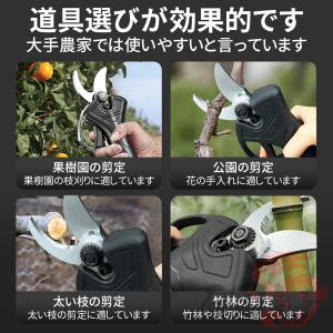 剪定ばさみ 充電式 高枝切り 200cm延長ポ...の詳細画像3