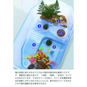 亀の水槽 亀ケージ カメ 飼育ケース 大きい ...の詳細画像3