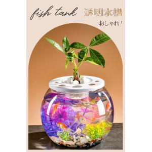 金魚鉢 丸型金魚鉢 水槽 オールインワン水槽 ...の詳細画像1