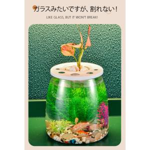 金魚鉢 丸型金魚鉢 水槽 オールインワン水槽 ...の詳細画像2