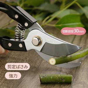 タカギ（takagi） 剪定ばさみ 剪定バサミ 枝切り はさみ ハサミ 剪定