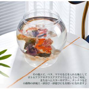 金魚鉢 水槽 透明 丸 鉢 和風 可愛い おし...の詳細画像2