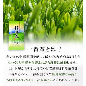 【ポスト投函便・送料込み】訳あり 茶葉 緑茶 ...の詳細画像5