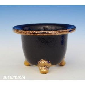 植木鉢 陶器 楽風オモト鉢_8号W250xD250xH240ミリ : ヤマコー畑岡幸助