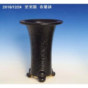 植木鉢【禄巳斉春松】手作り切立長角盆栽鉢(イブシ）13号 : ヤマコー