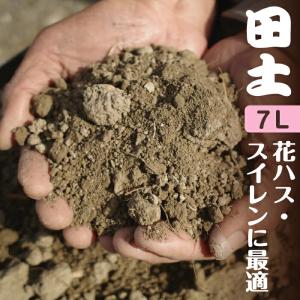 田土　7L（約8.5-8.8kg　ビニール袋入り）10号ポット用【水生植物の土】【花ハスの土 睡蓮の土 スイレンの土】