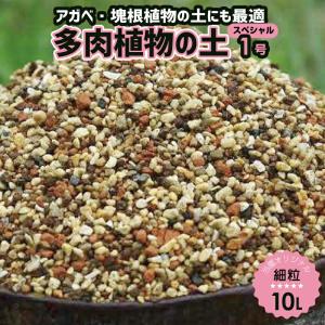 元祖多肉植物の土 スペシャル1号(細粒) 10L　弊園謹製 手練り（長期肥料付） 天然鉱物質100％　焼赤玉土倍増！【送料無料】【用土・肥料】