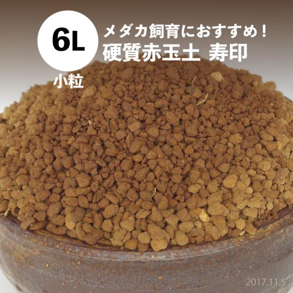 メダカ飼育におすすめ!　硬質赤玉土　寿印（小粒）　6L