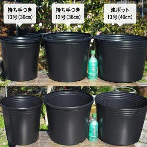 簡易持ち手つきポリポット(ビニールポット)10...の詳細画像2