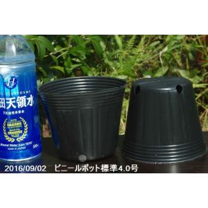 ポリポット 4cm 黒 100個 ビニールポット : RITTER - 通販 - Yahoo