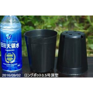 ポリポット（ビニールポット） 通気性よくネット不要の標準 4号