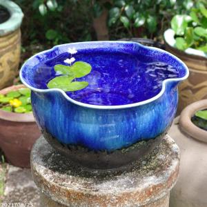 信楽焼 植木鉢 陶器 大型 生子懸崖鉢 15号（直径47.5cm 高さ42cm