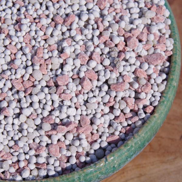 冬期低温期用肥料　1kg　【観葉植物】【クリスマスローズ・福寿草】【冬野菜】【多肉植物・サボテン】【...