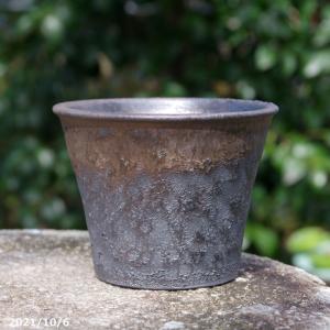 和風 植木鉢の商品一覧 通販 Yahoo ショッピング